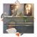 Adesivo Metallic Ouro liso